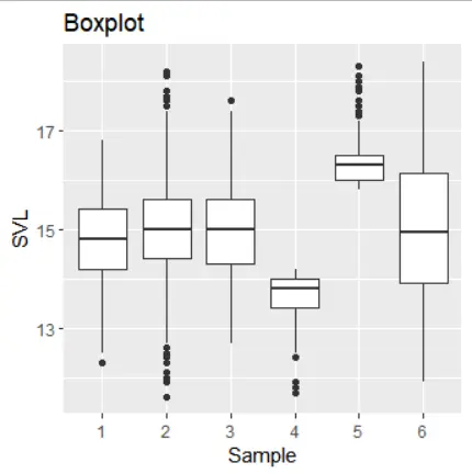 Boxplot of the SVL