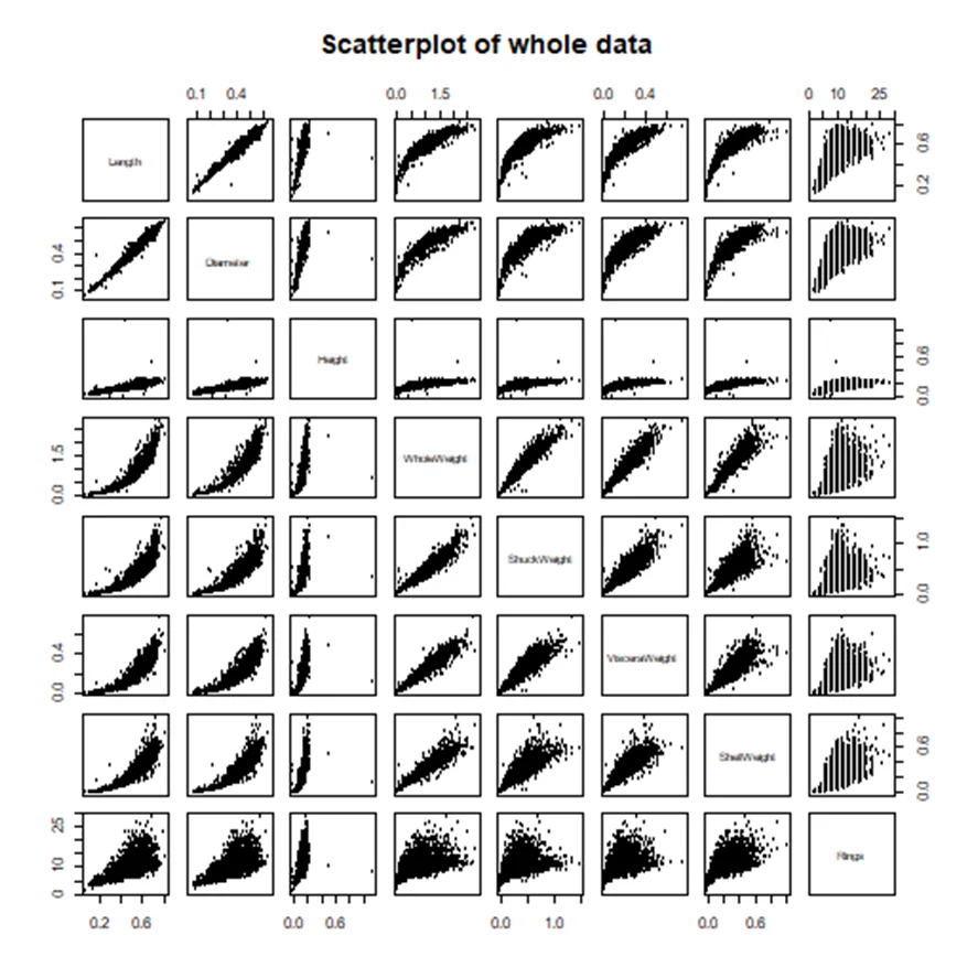 Scatterplot of the Whole Data